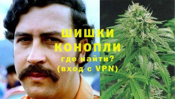 крисы Белоозёрский