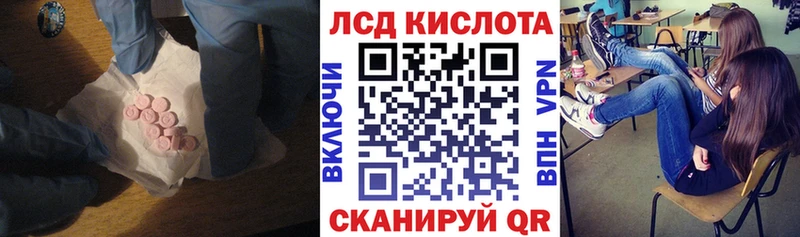 Лсд 25 экстази ecstasy  Кондопога 