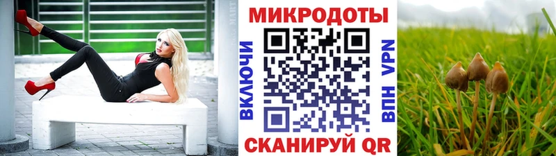 Псилоцибиновые грибы Magic Shrooms  Кондопога 